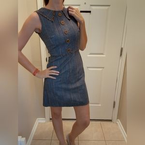 Vintage Dainty June Mini Dress